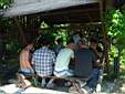 76kb - Alle t�mmeln sich im Schatten